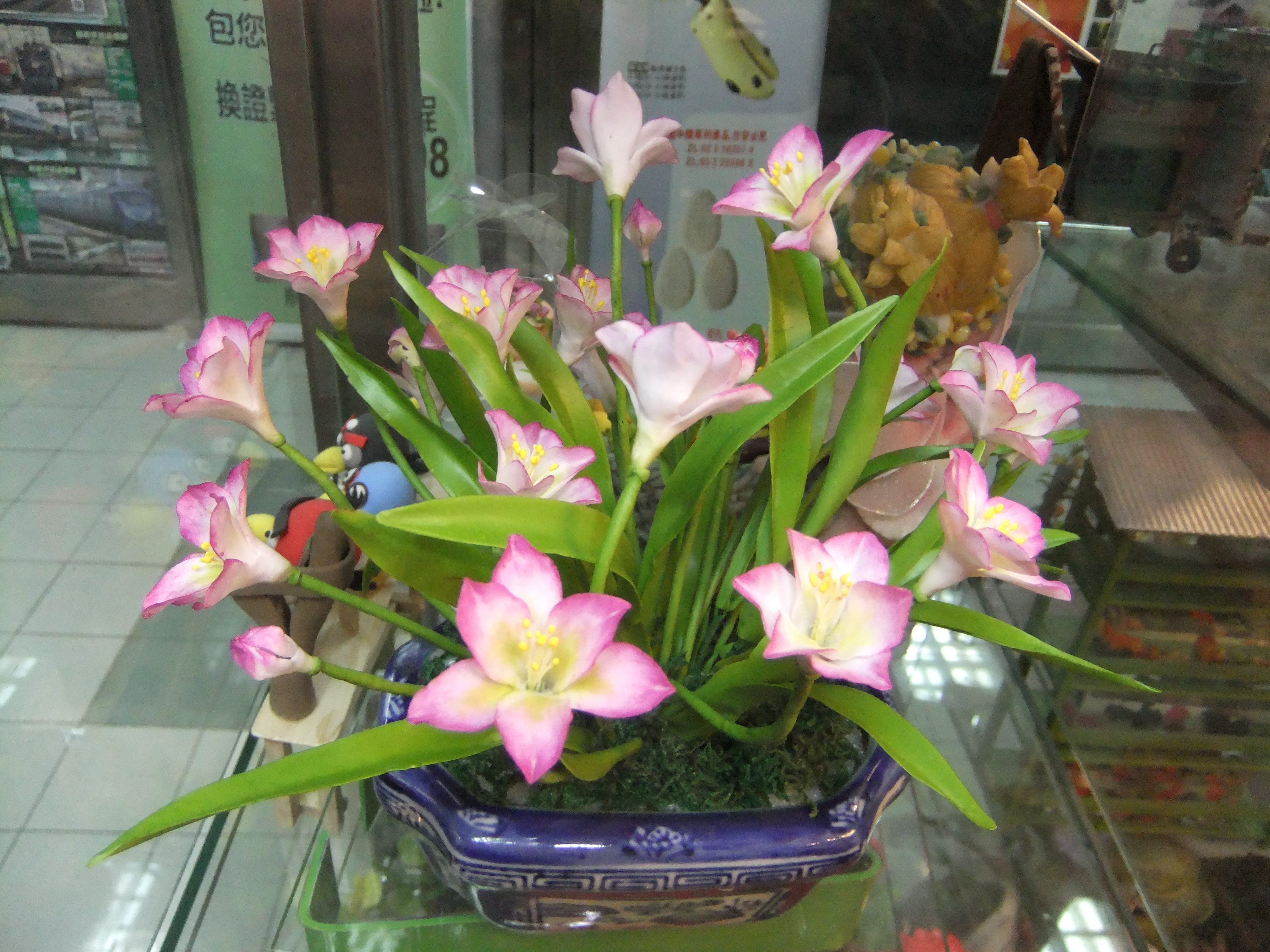 DSCF8625
